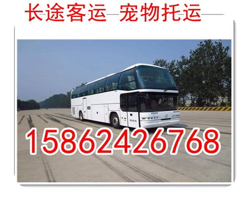 从晋城到济源的汽车票价查询