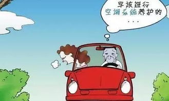 夏天清理汽车空调的费用详解