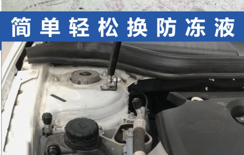 汽车洗水箱的价格解析
