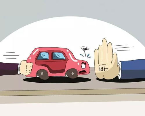 春节前后汽车的运行情况