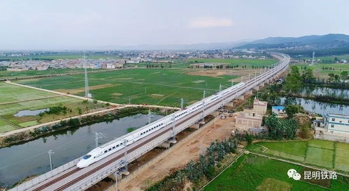 走向大理的旅程，苍溪至昆明的汽车票价解析