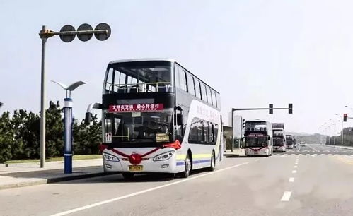 岳阳有多少条公交线路通向汽车站? 岳阳有多少条公交线路通向汽车站?
