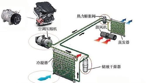 汽车压缩机的转速与性能关系解析