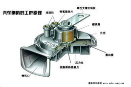 解析汽车喇叭尺寸与功能 解析汽车喇叭尺寸与功能