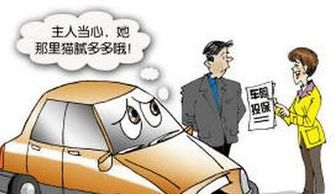 了解汽车强制保险中的第三者责任险条款