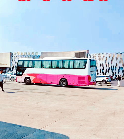 普通长途客车(普通座位) 普通长途客车(普通座位)