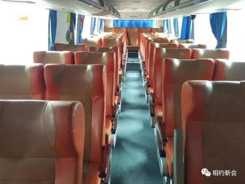江门汽车皮革修复服务解析与价格指南 江门汽车皮革修复服务解析与价格指南