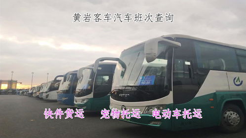 莱州至乳山汽车票价