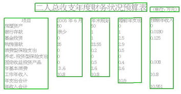 提前规划与预算制定