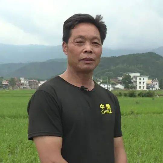 咸阳到眉县的汽车旅行指南