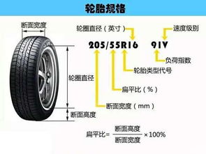 汽车轮胎的正确充气标准与安全考量