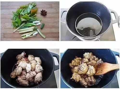 杨铭宇黄焖鸡致歉，对消费者权益的尊重与承诺
