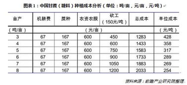汽车打蜡的频率与成本分析