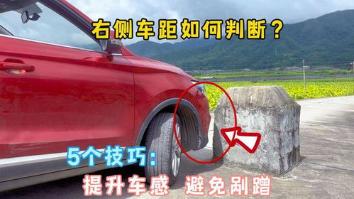 安全驾驶指南，掌握正确距离以减少剐蹭风险