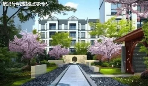 成都北门汽车年审费用解析与建议