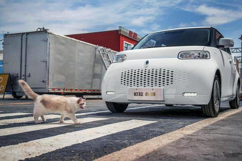 长城汽车，全球汽车行业的领军者