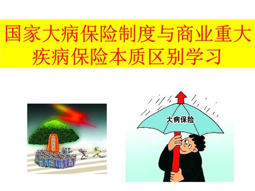 五三汽车站的详细信息与联系方式