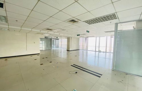 滨江区汽车出租价格详解