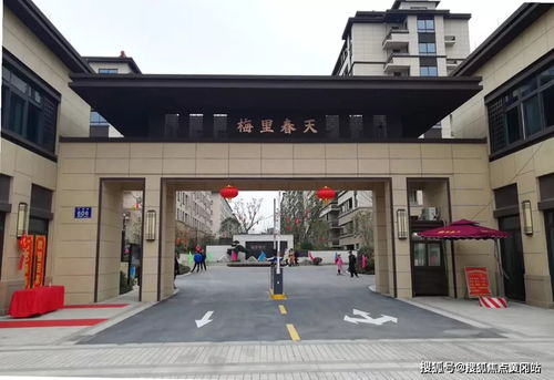 汽车保险中的盗抢险费用详解