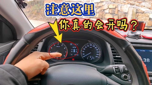如何快速热车，汽车启动后的正确操作与注意事项