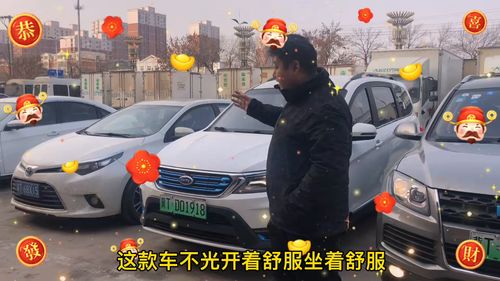 衡水电动汽车的普及与使用情况