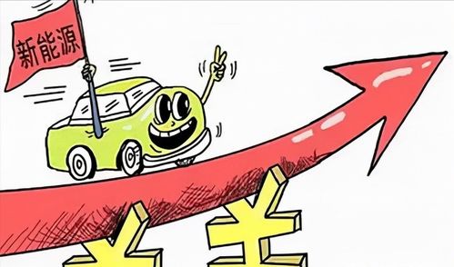 汽车没报过保险的优待政策解析与实际应用