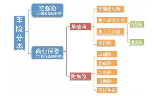 汽车保险市场概览与选择建议
