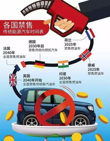 汽车排量与燃油效率，探索车辆性能的关键因素