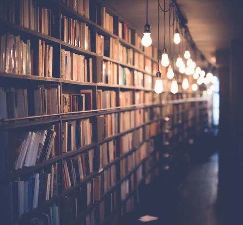 芝加哥大学教授的建议，如何在不平等社会中实现公正与平等