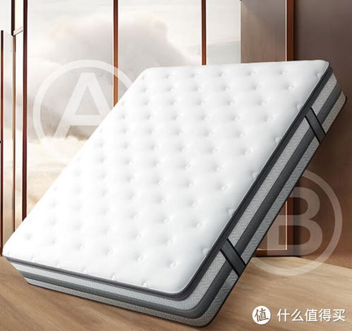 浙江省的汽车床垫价格分析与选购指南