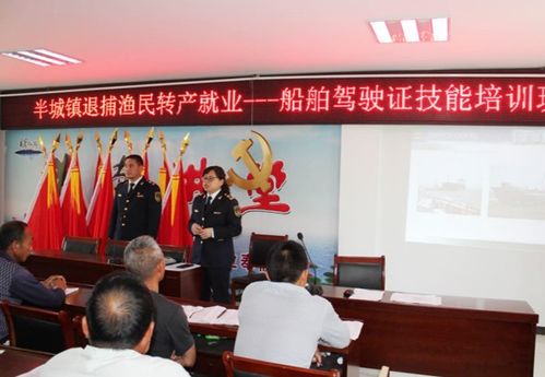 东光县的交通政策，如何理解与应对