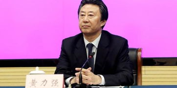 北京原副市长高朋被公诉，权力的代价与法律的严惩