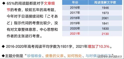 汽车直径为40厘米的详细解读与应用场景分析