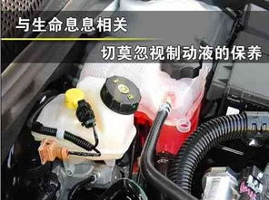 如何正确调整汽车上的刹车油量? 如何正确调整汽车上的刹车油量?