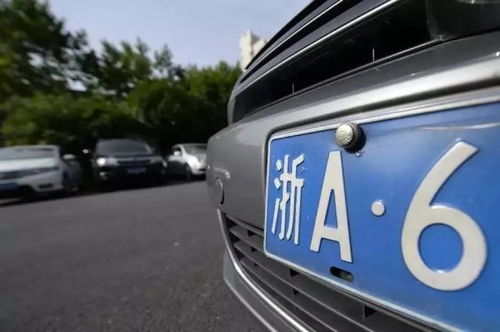 广东省的汽车车牌尺寸解析