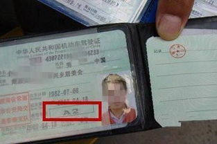 汽车审验的年限规定与更新频率