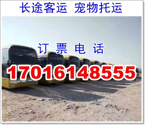 益阳到新化的汽车票价