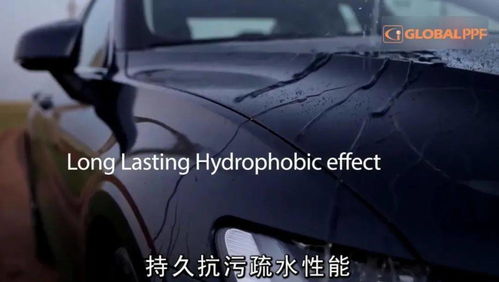 汽车干电池的种类与选择指南
