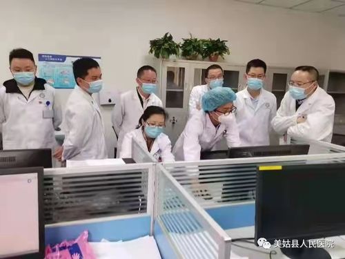 湘阴县汽车保有量调查报告