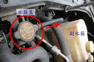 定制汽车超薄水箱价格解析