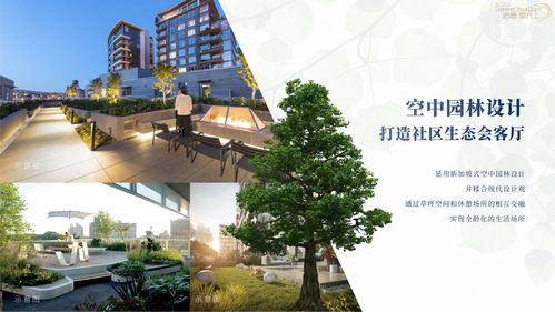 汽车在石头上修建的费用分析与前景展望