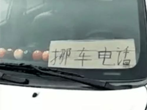 了解你的车，如何准确查看自己的汽车保有量