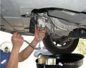 汽车加一升机油的价格分析与选择