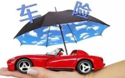了解你的汽车，强制性汽车保险的有效期限