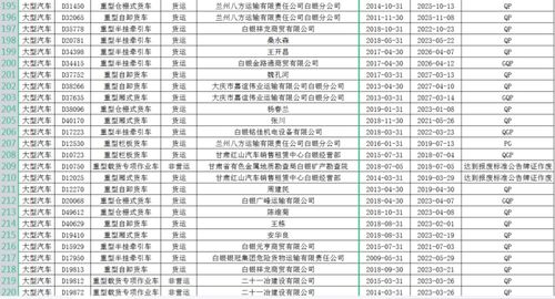 人可以拥有多少个汽车指标？