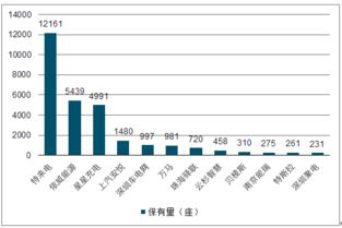 电动汽车市场崛起，投资与融资策略分析