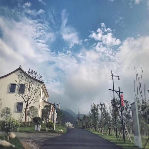 龙桥汽车检测站费用解析