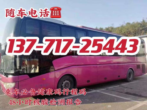禹州到唐河的汽车票价是多少？