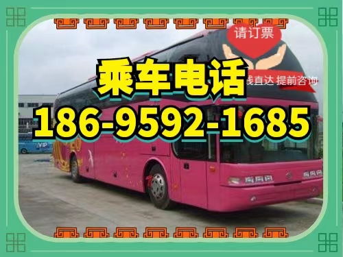 樟树到宁波的汽车票价是多少？
