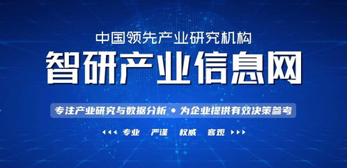 大型折叠电动汽车的市场价值与价格